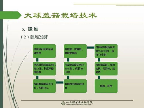 黨建引領謀發展 科技助農備春耕 大球蓋菇栽培技術網絡課堂推動農業現代化
